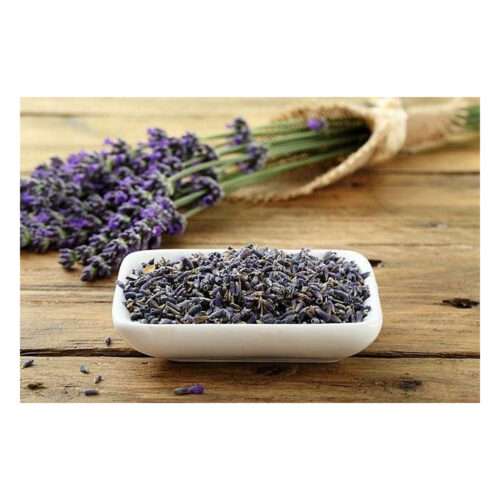 Culinary English Lavender